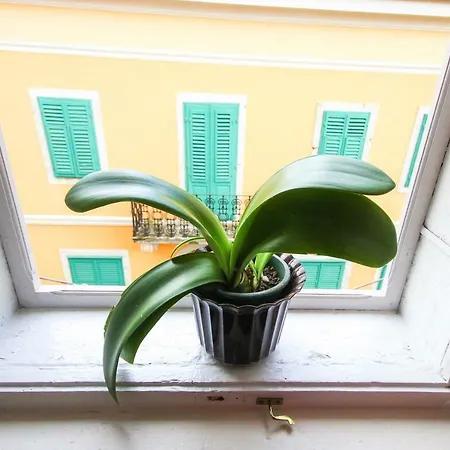 Apartment Johanna